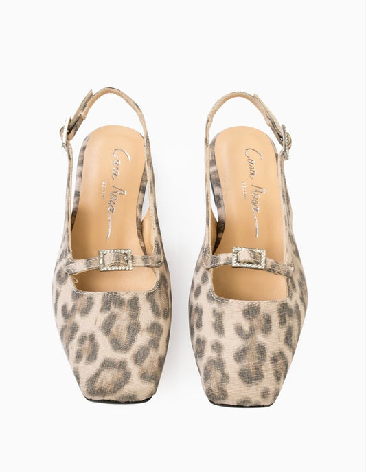 Cara Rosa - Carlotta