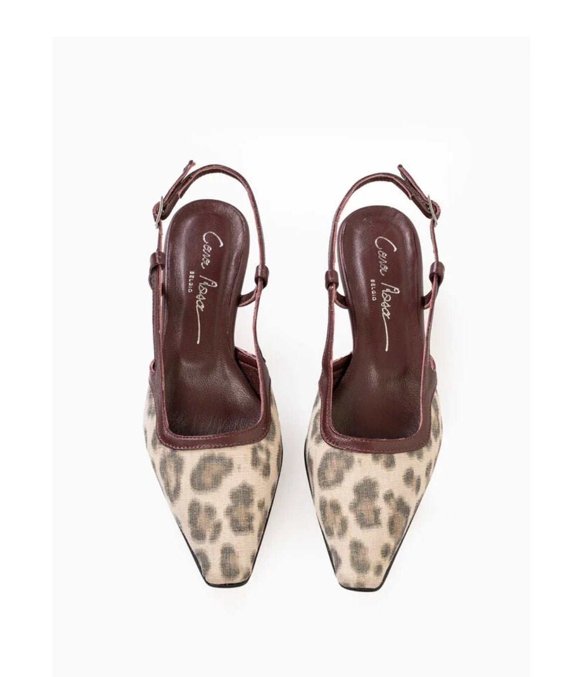 Cara Rosa - Kathleen