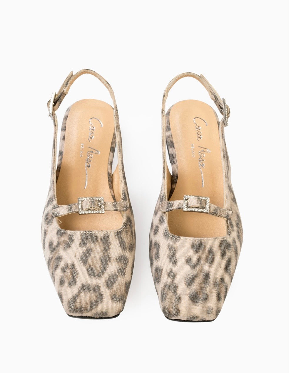 Cara Rosa - Carlotta